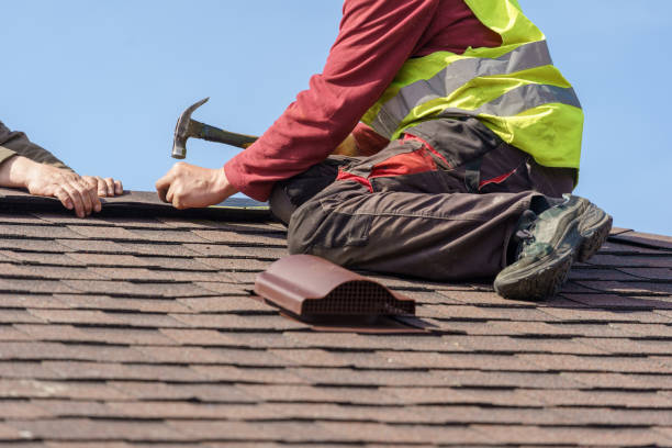 Best Roof Gutter Cleaning  in Warr Acres, OK
